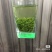 茶叶