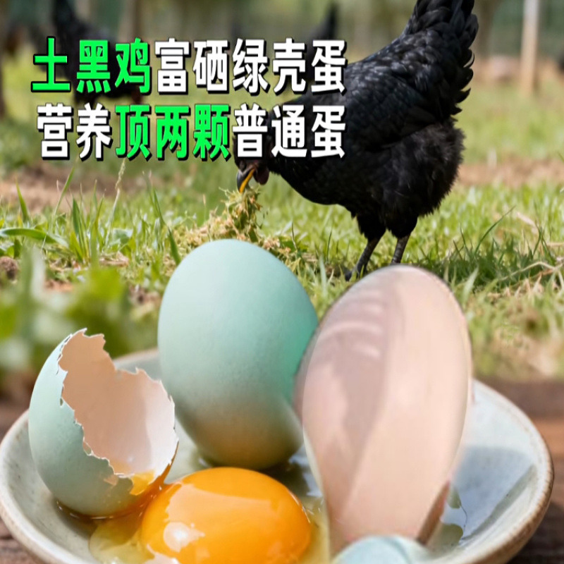 木弄黑鸡绿壳土鸡蛋营养丰富母婴放心吃沙门氏菌0检出