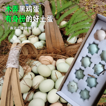 木弄黑鸡绿壳土鸡蛋营养丰富母婴放心吃沙门氏菌0检出