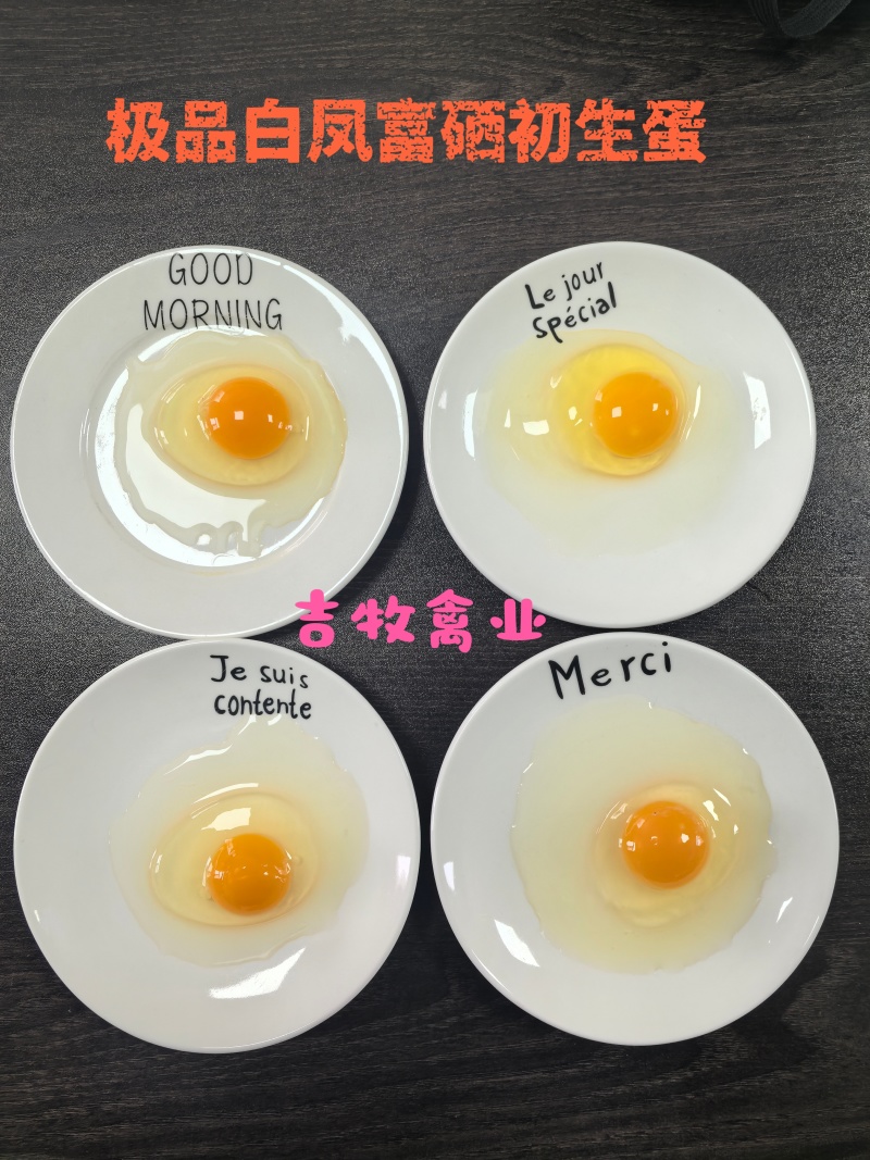 精品富硒白凤初生蛋