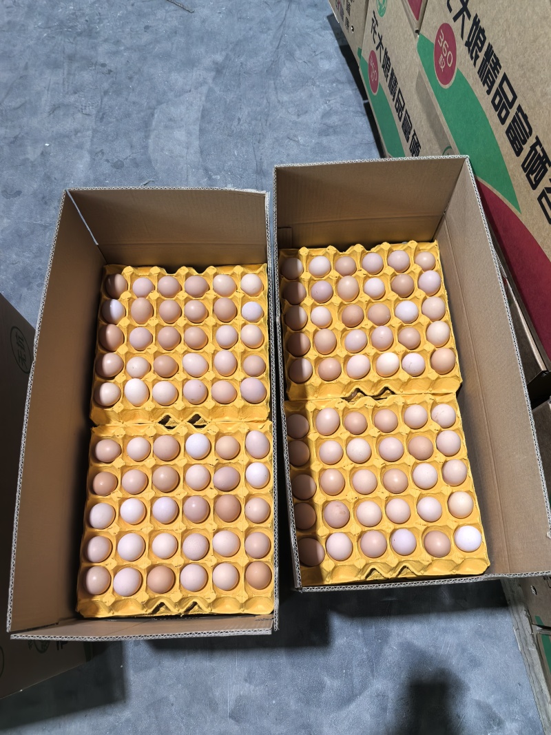 精品富硒白凤初生蛋