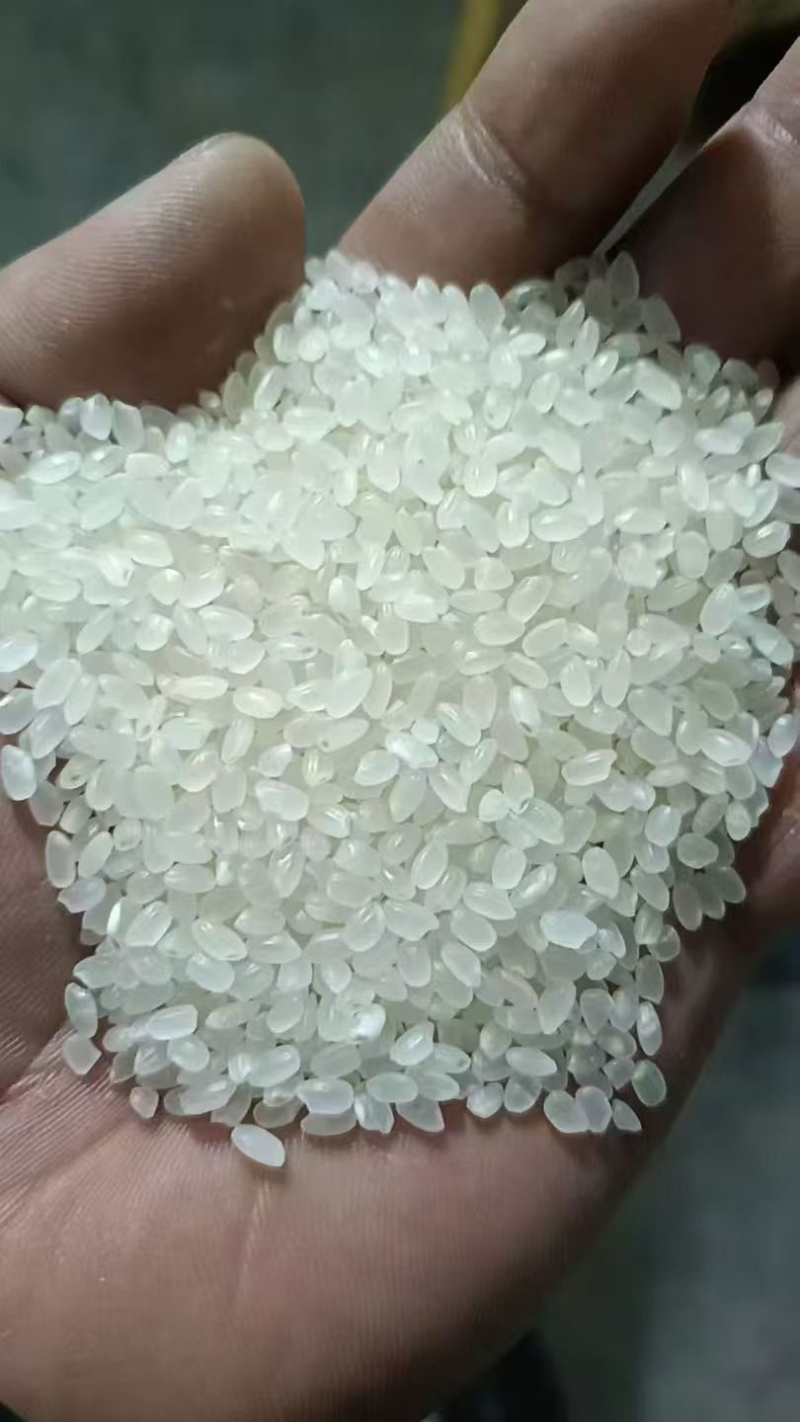 东北珍珠米大米圆粒