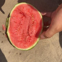 手掰小西瓜