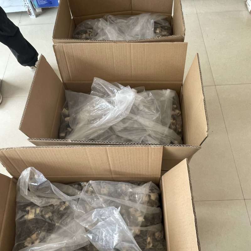 自己家种植的羊肚菌，欢迎老板合作