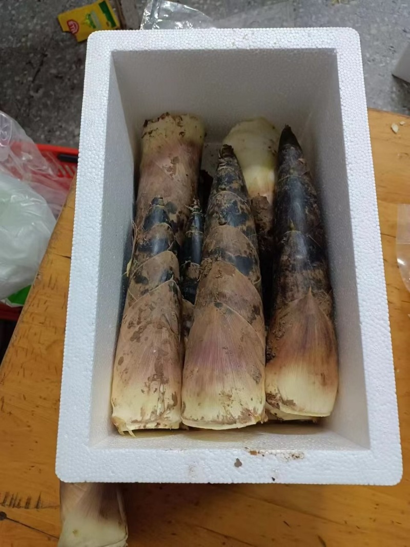 竹笋雷竹笋现挖现发产地直供一手货源欢迎咨询