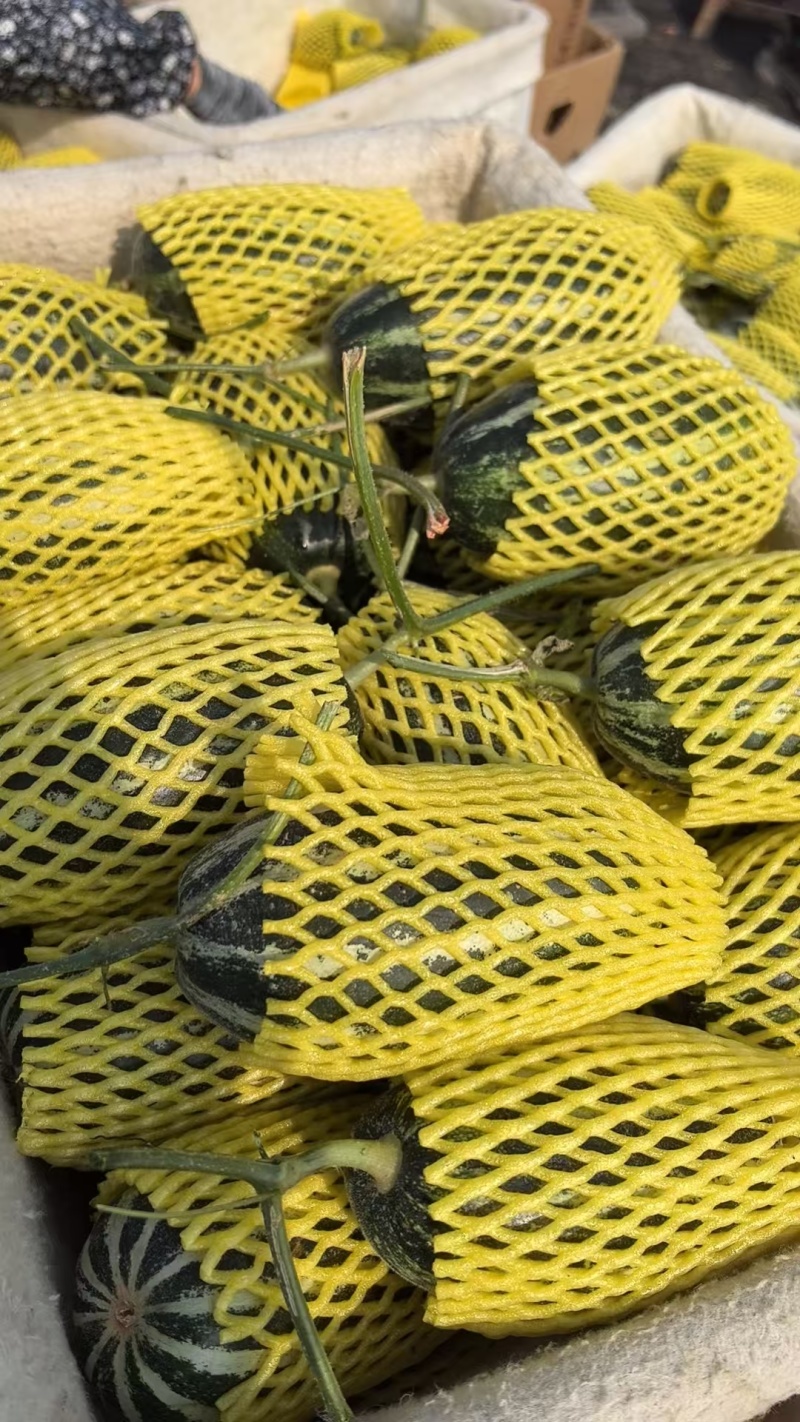 （博洋9号）河北甜瓜/品种规格齐全/大量上市价格优惠