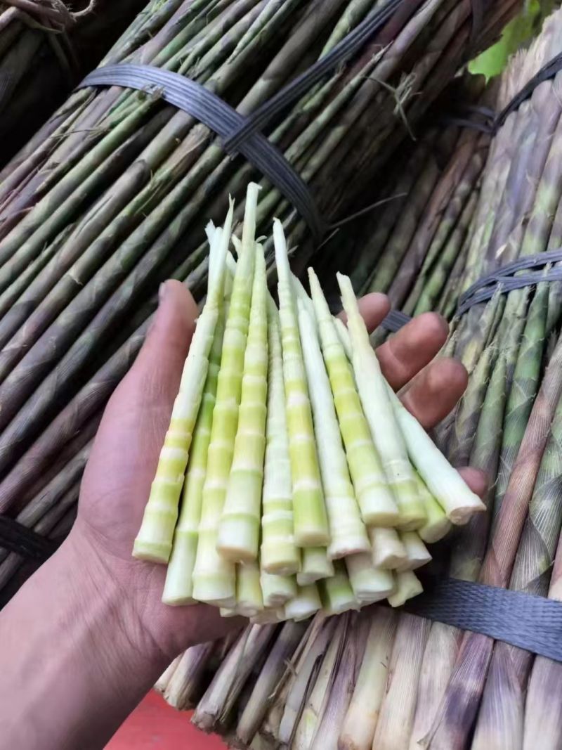 好货，等有机会的人，错过等下年。