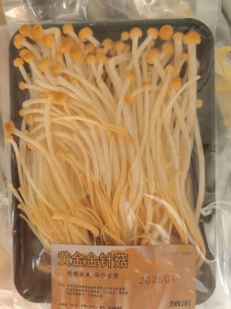 精品黄金金针菇批发（河北省廊坊市固安县）