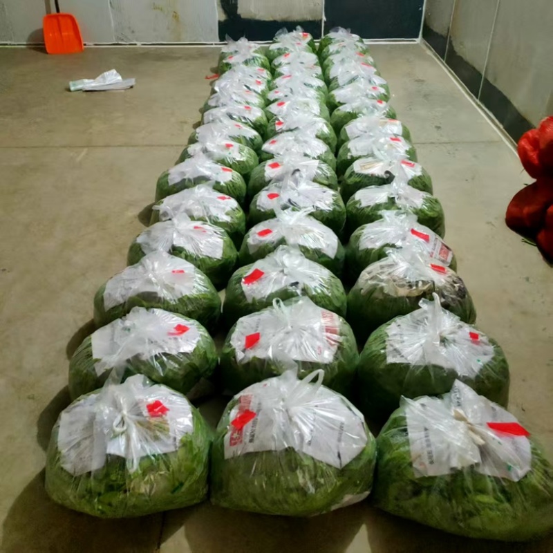甜豆基地，色泽亮丽味道甜鲜可生吃，水果甜豆直供商超批市场