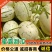 山东蜜露流星甜瓜大量供应对接全国品质保证欢迎咨询