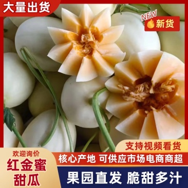 山东菏泽红金蜜甜瓜口感脆甜火爆上市对接全国市场商超电商