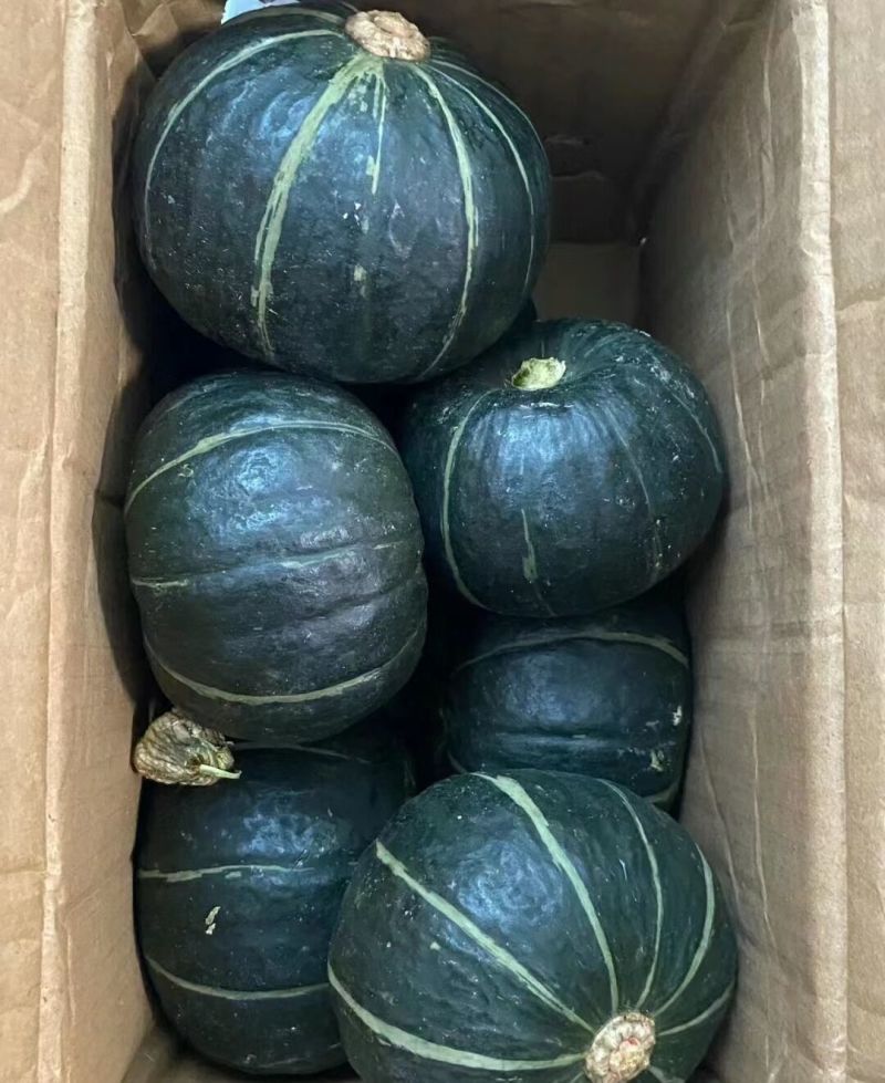 广东湛江贝贝南瓜，全国发货，诚信经营，品质保障