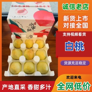河北唐山乐亭白桃白凤桃水蜜桃口感清甜品质好供应全国