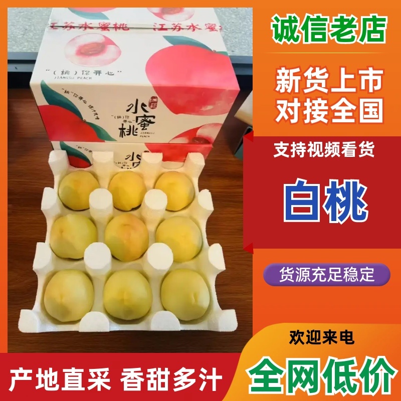 河北唐山乐亭白桃白凤桃水蜜桃口感清甜品质好供应全国