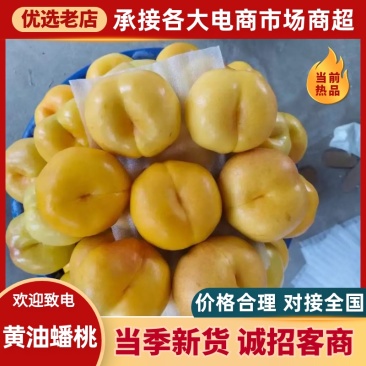 河北唐山黄油蟠桃蟠桃对接全国价格美丽品质好欢迎来电