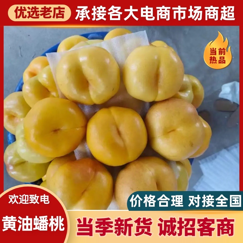 河北唐山黄油蟠桃蟠桃对接全国价格美丽品质好欢迎来电