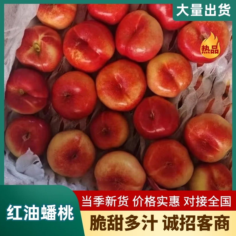 河北唐山红油蟠桃品质好口感好大量供应对接全国