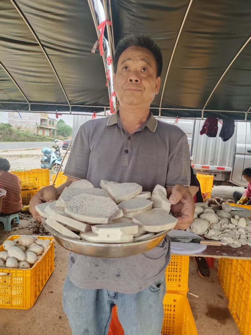 【精选】广西荔浦芋芋头产地直发视频看货量大从优