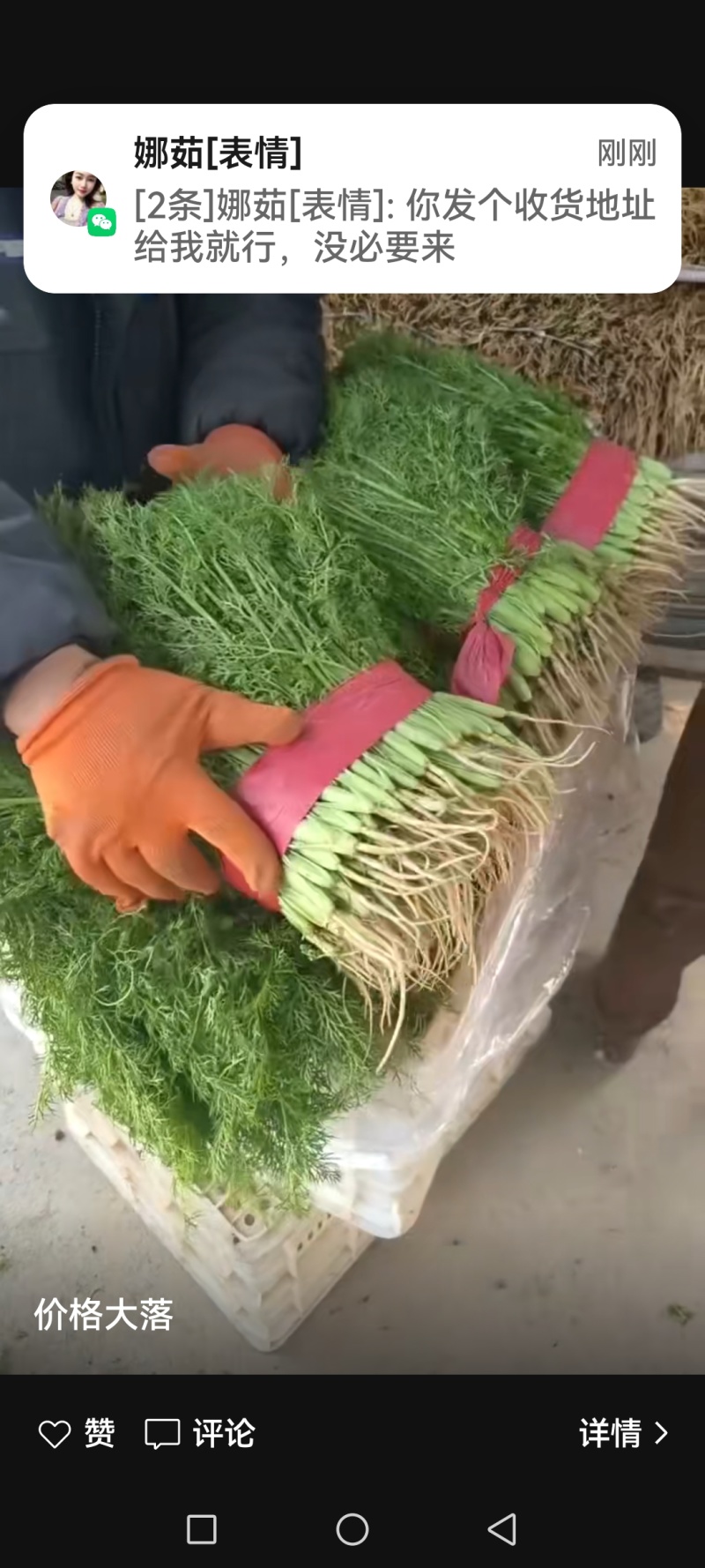 河北邯郸专业代购代销各种精品蔬菜水果。需要的老板联系。