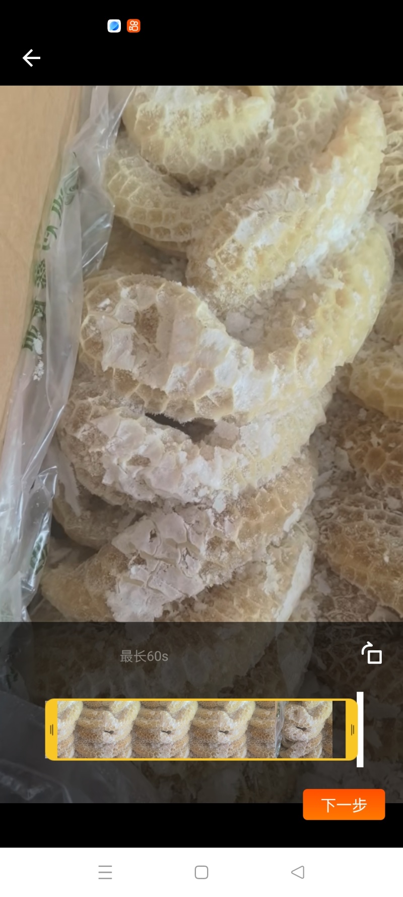 牛金钱肚