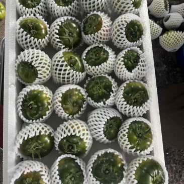 草莓西红柿