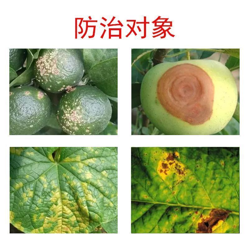 波尔多液农药苹果树轮纹病柑橘树溃疡病黄瓜霜霉病烟草野火病