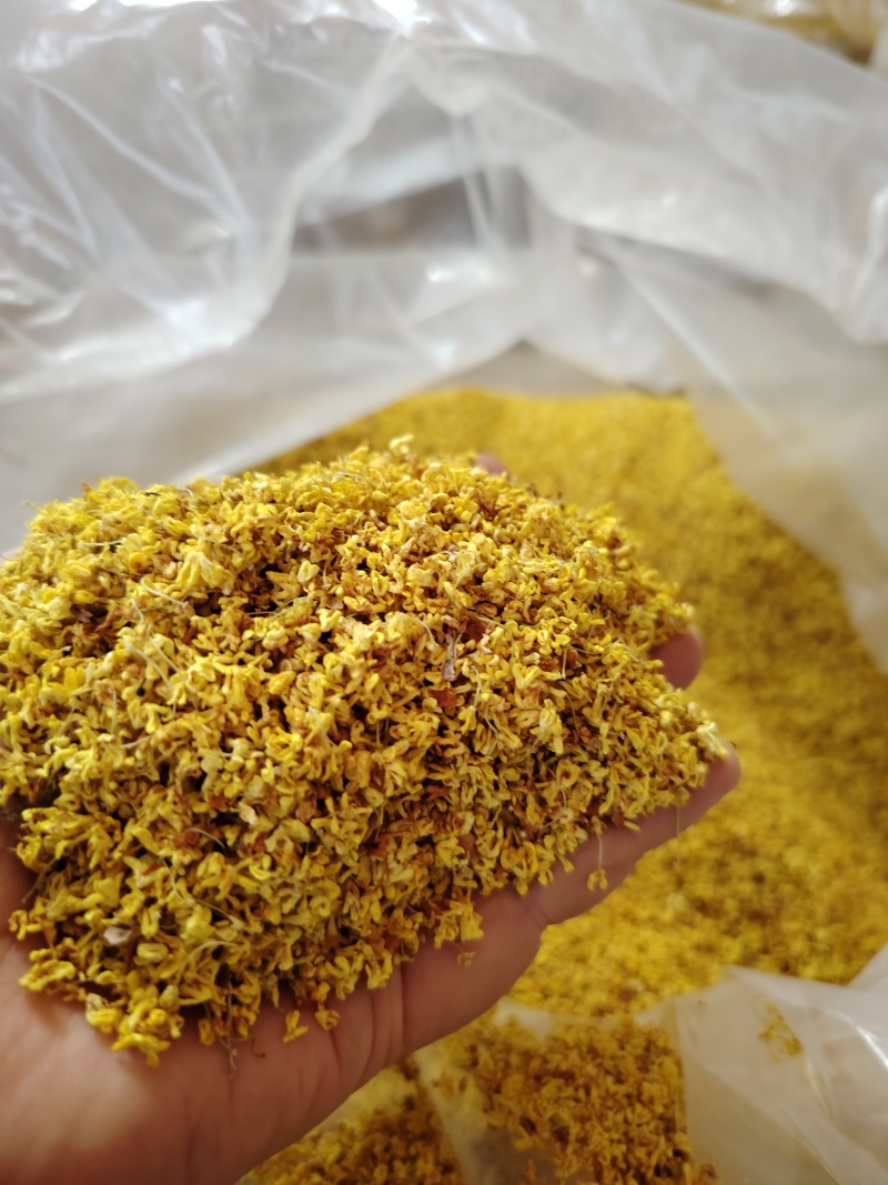 桂林金桂花干，产地直供，量大有优惠，库存充足，欢迎洽谈