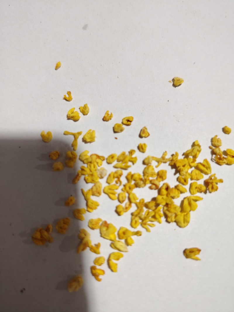 桂林金桂花干，产地直供，量大有优惠，库存充足，欢迎洽谈