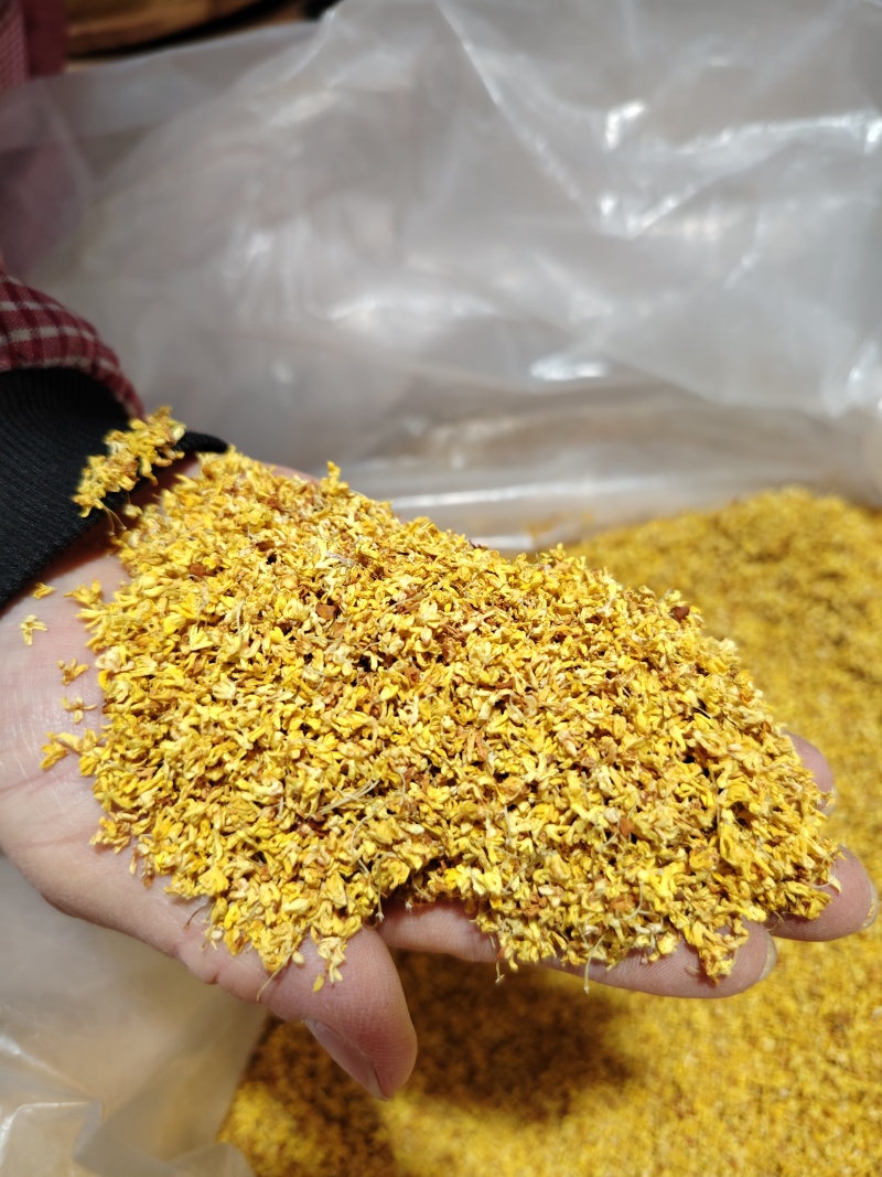 桂林金桂花干，产地直供，量大有优惠，库存充足，欢迎洽谈