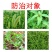 大蒜姜田苗前除草剂50%乙氧异甲戊乙氧氟草醚异丙甲草胺二