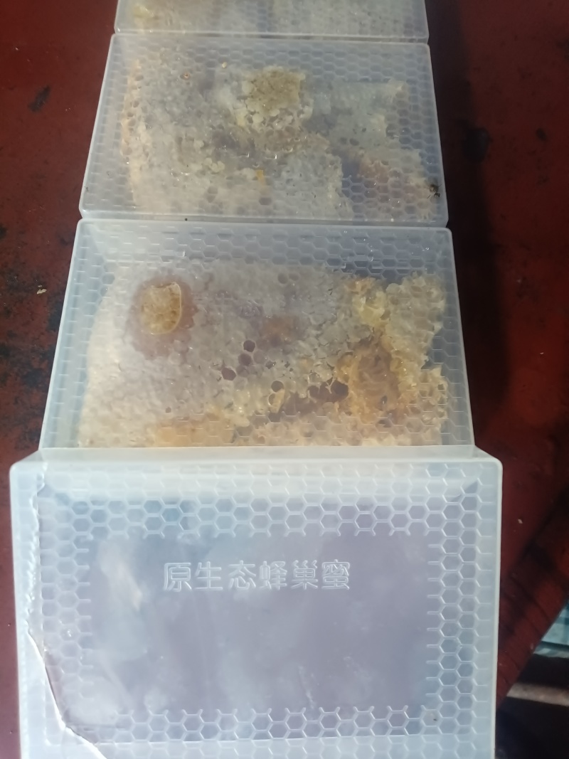 中蜂，蜂巢蜜