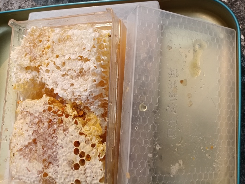 中蜂，蜂巢蜜