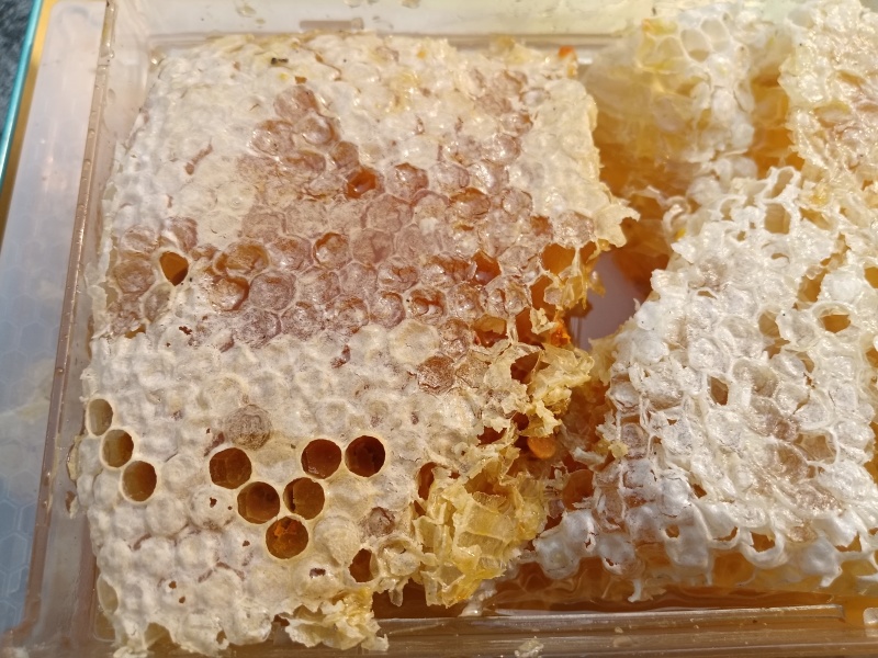中蜂，蜂巢蜜