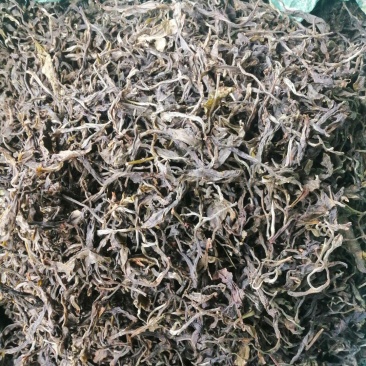低端普洱茶