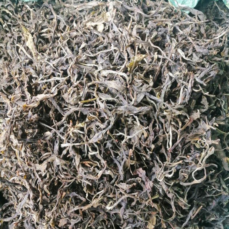 低端普洱茶
