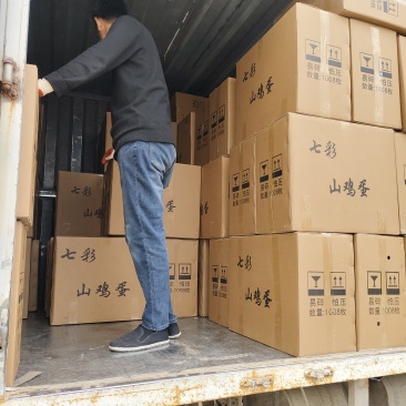 优质新鲜野鸡蛋营养丰富还美味需要的老板请联系