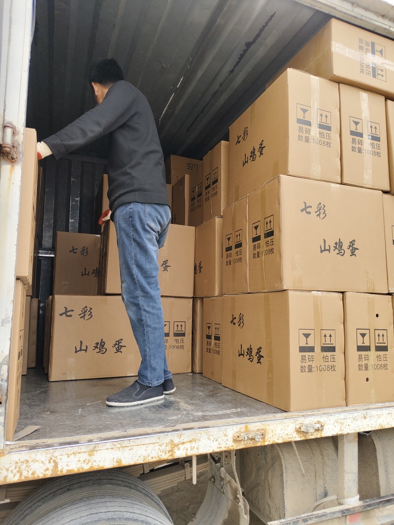 优质新鲜野鸡蛋营养丰富还美味需要的老板请联系
