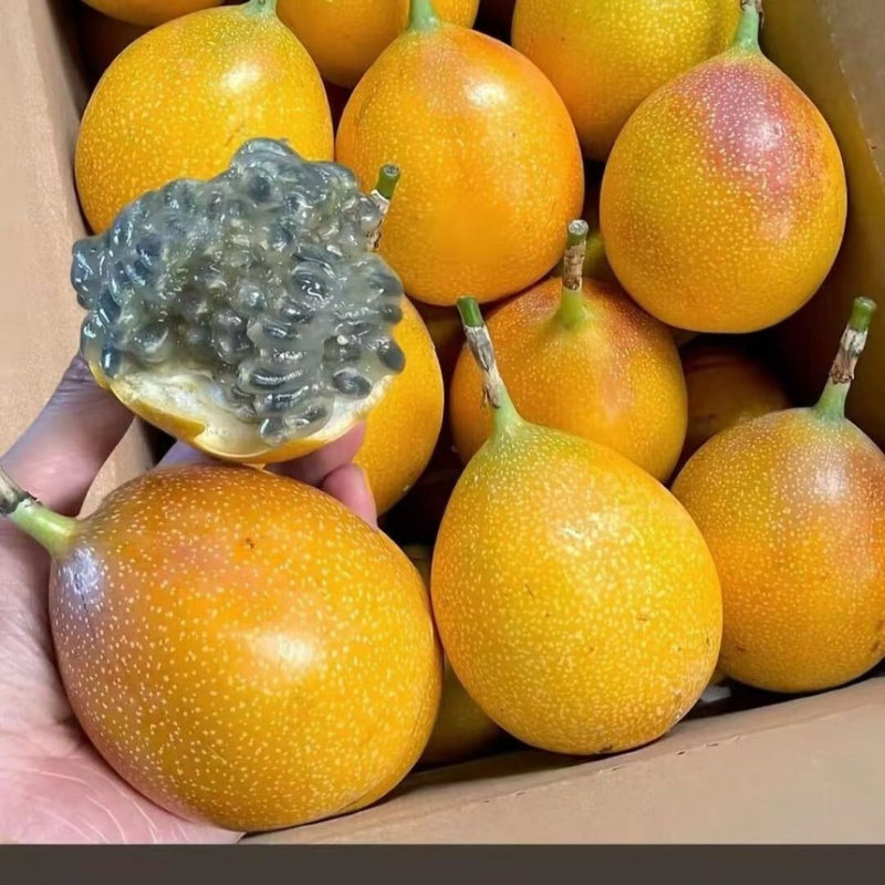 云南版纳热情果一手代办货源充足供应全国各大市场社区团购商