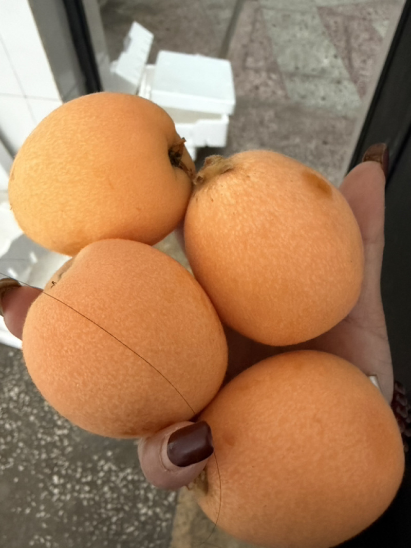 这两天果子超大