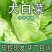 郯城县精品大白菜