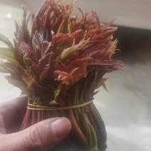 野味红香椿雅