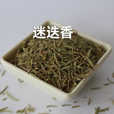 迷迭香香草类