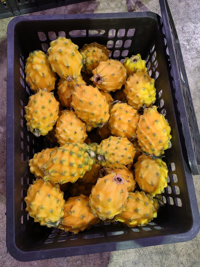燕窝果