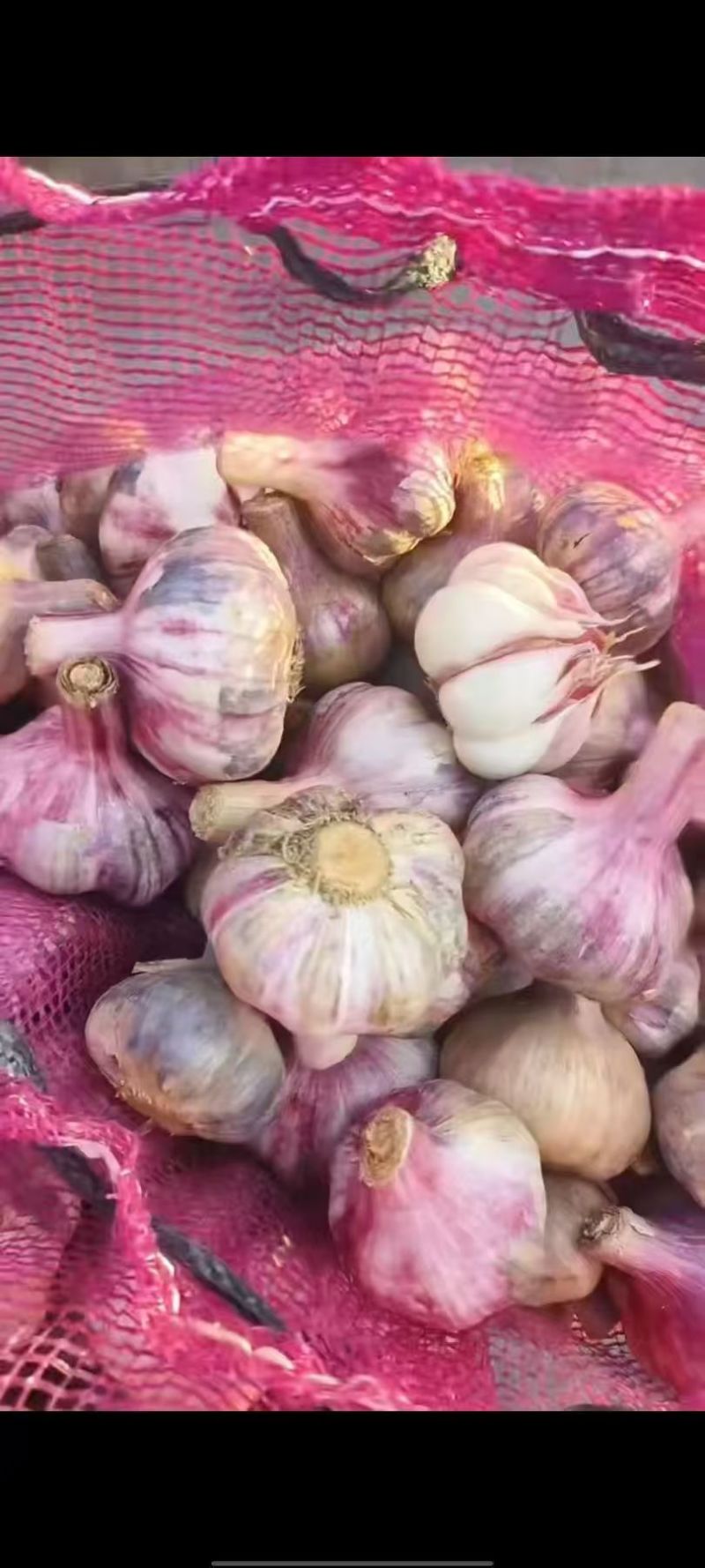 云南紫皮鲜蒜