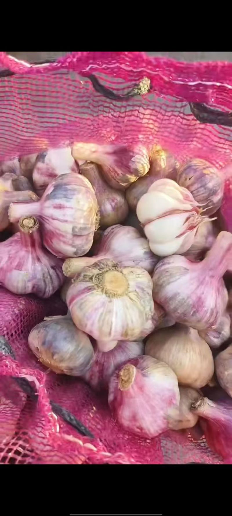 云南紫皮鲜蒜