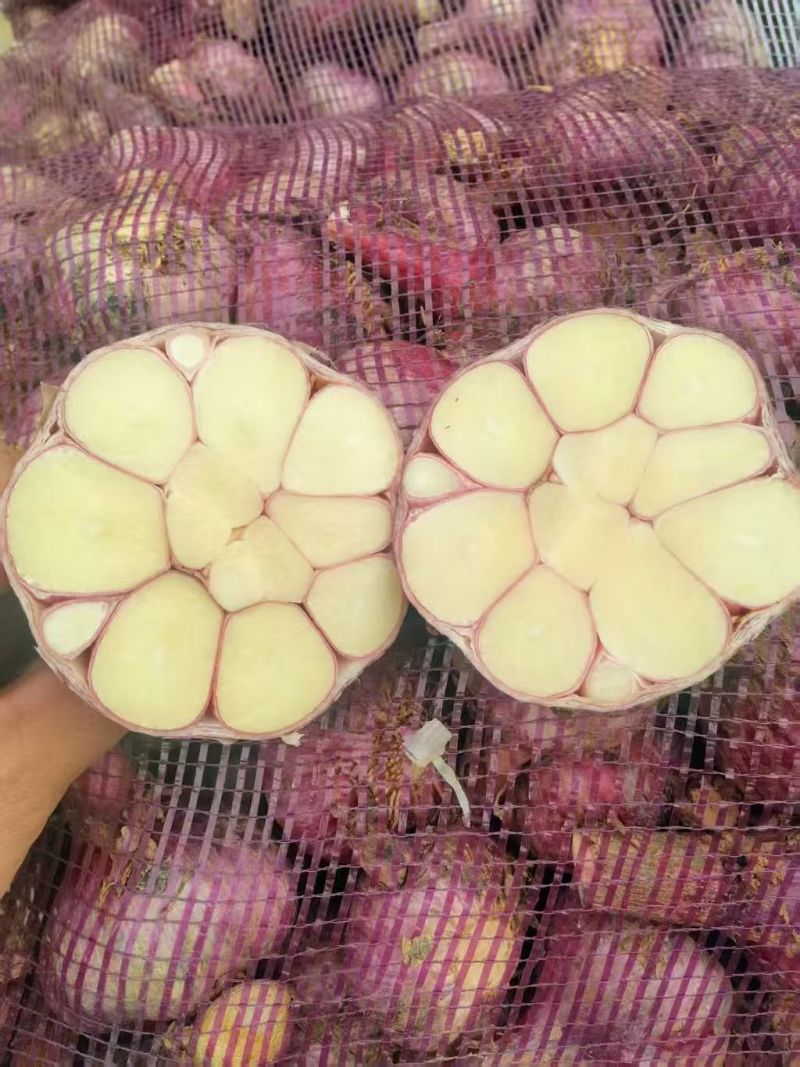 云南紫皮鲜蒜
