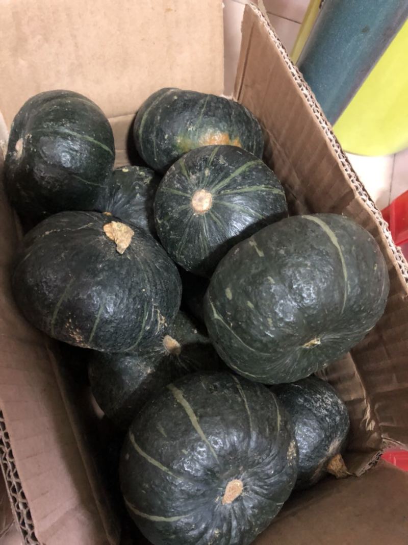 板栗南瓜粉糯香甜品质保证，对接电商快递代发