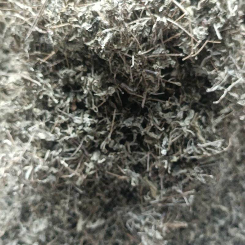 野生藤茶中档芽茶非种植农家自制土特产芽茶带点小梗养生茶