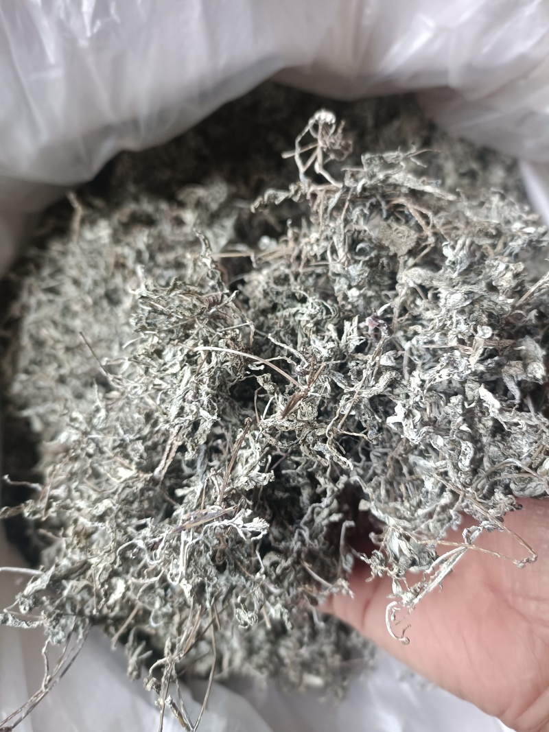 野生藤茶中档芽茶非种植农家自制土特产芽茶带点小梗养生茶