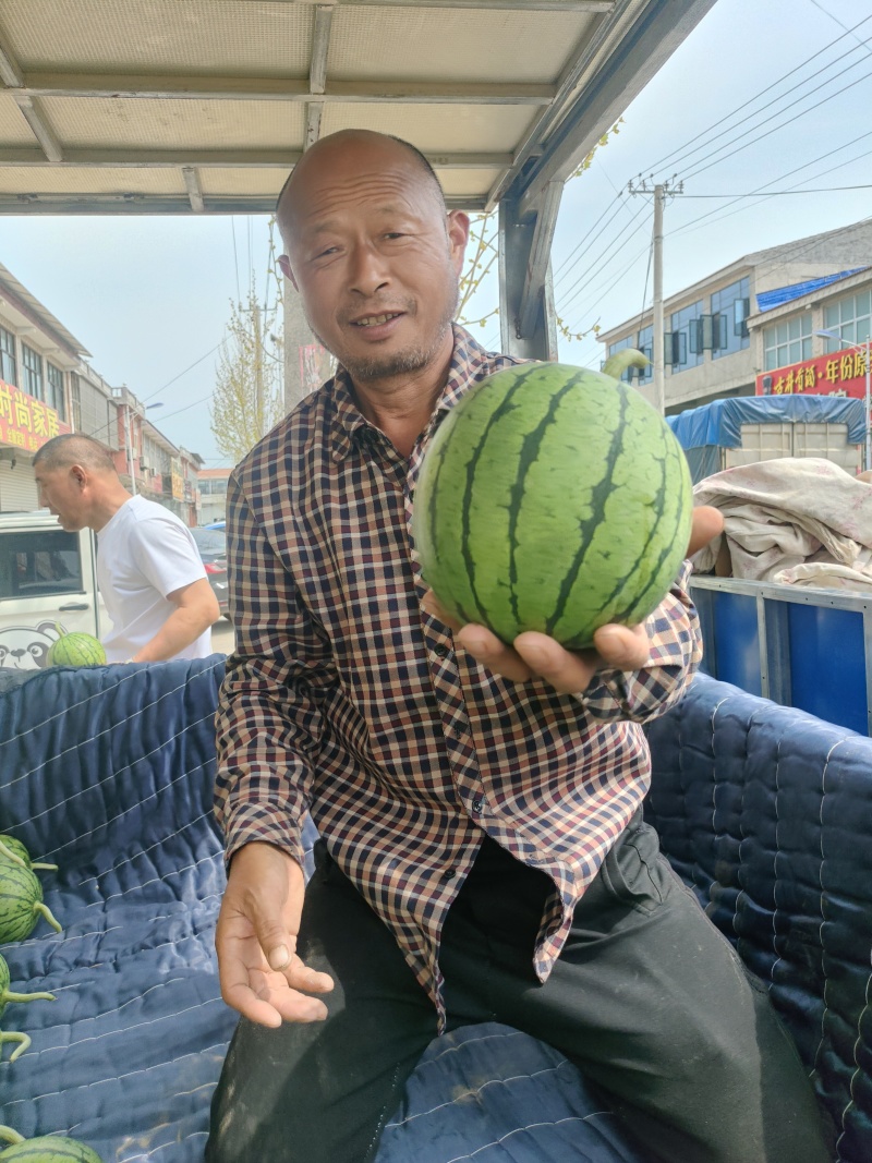 早春红玉西瓜，砀山产地货源充足，保证质量，全国发货！